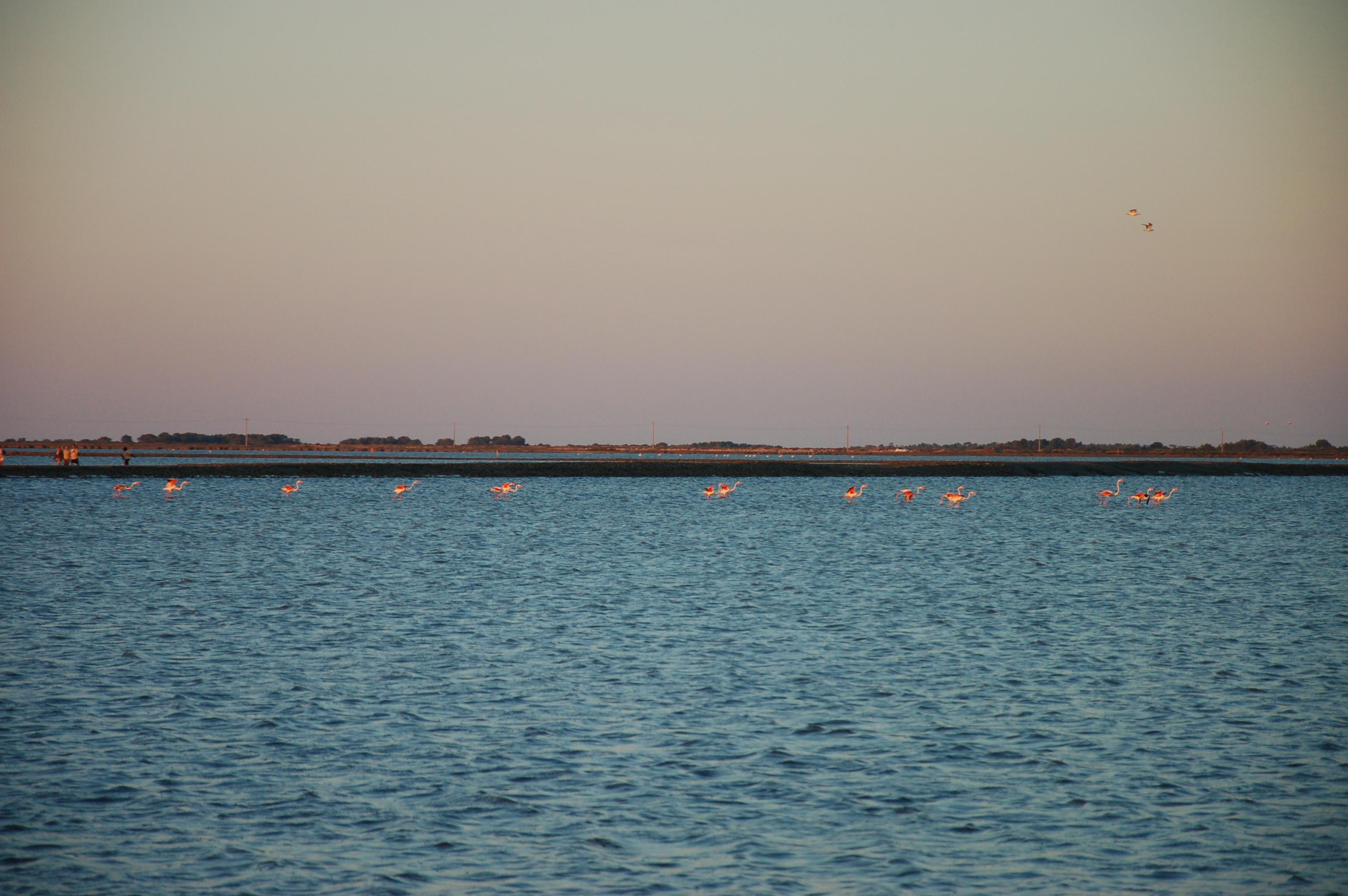 1008040653MCAbag2010 (21).JPG